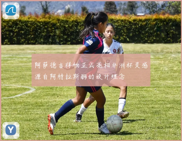 阿萨德吉祥物正式亮相非洲杯灵感源自阿特拉斯狮的设计理念