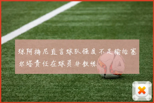 琼阿梅尼直言球队强度不足输给塞尔塔责任在球员非教练